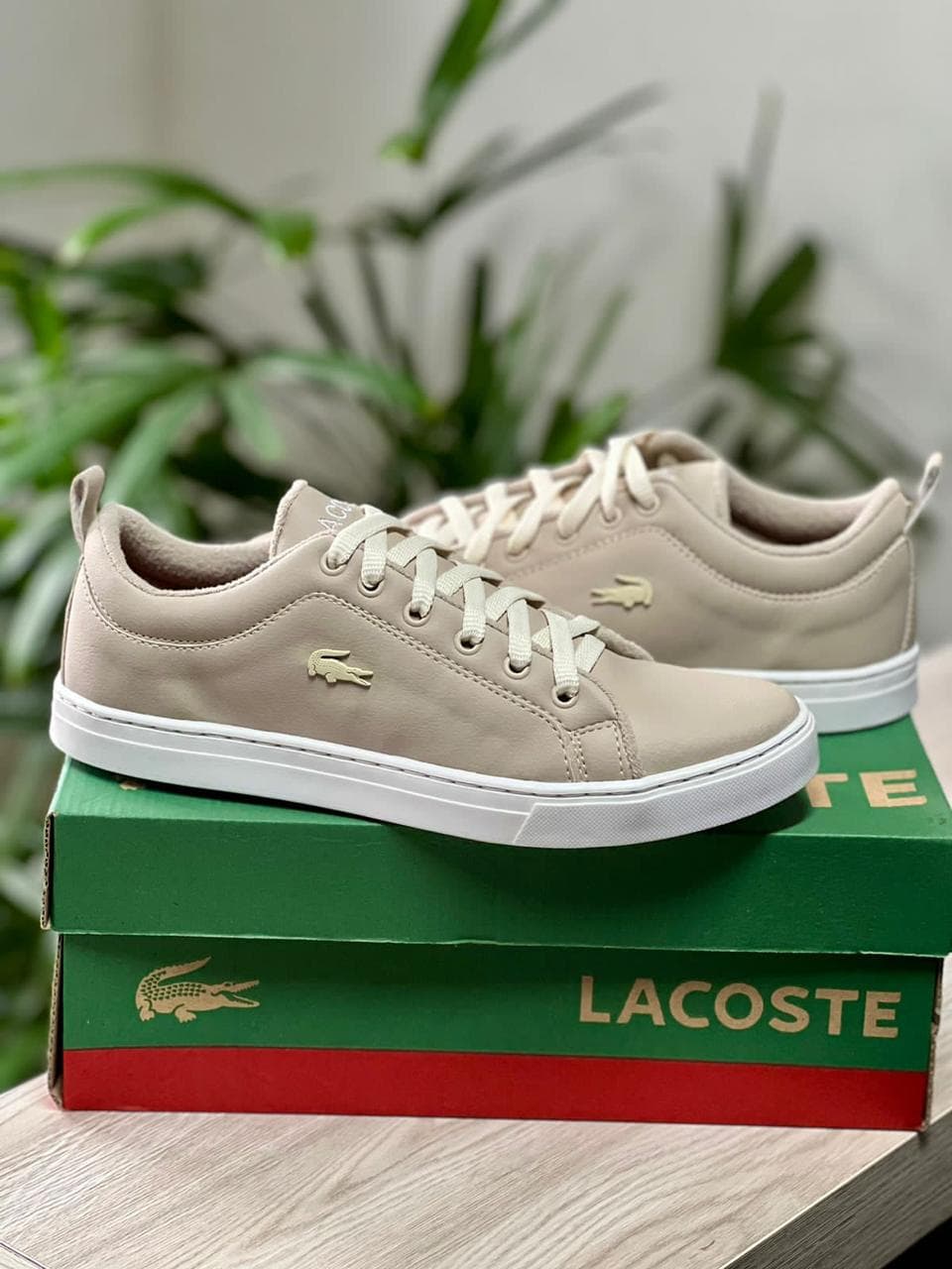 Street Edition cor 4